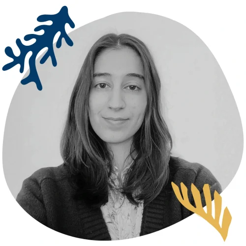 dra. joana antunes psicóloga clínica